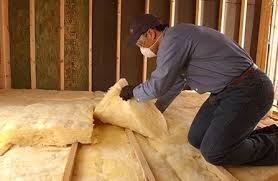 Best Insulation for Metal Buildings  in Truman, MN