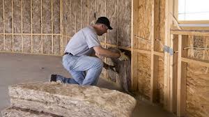 Best Basement Insulation  in Truman, MN